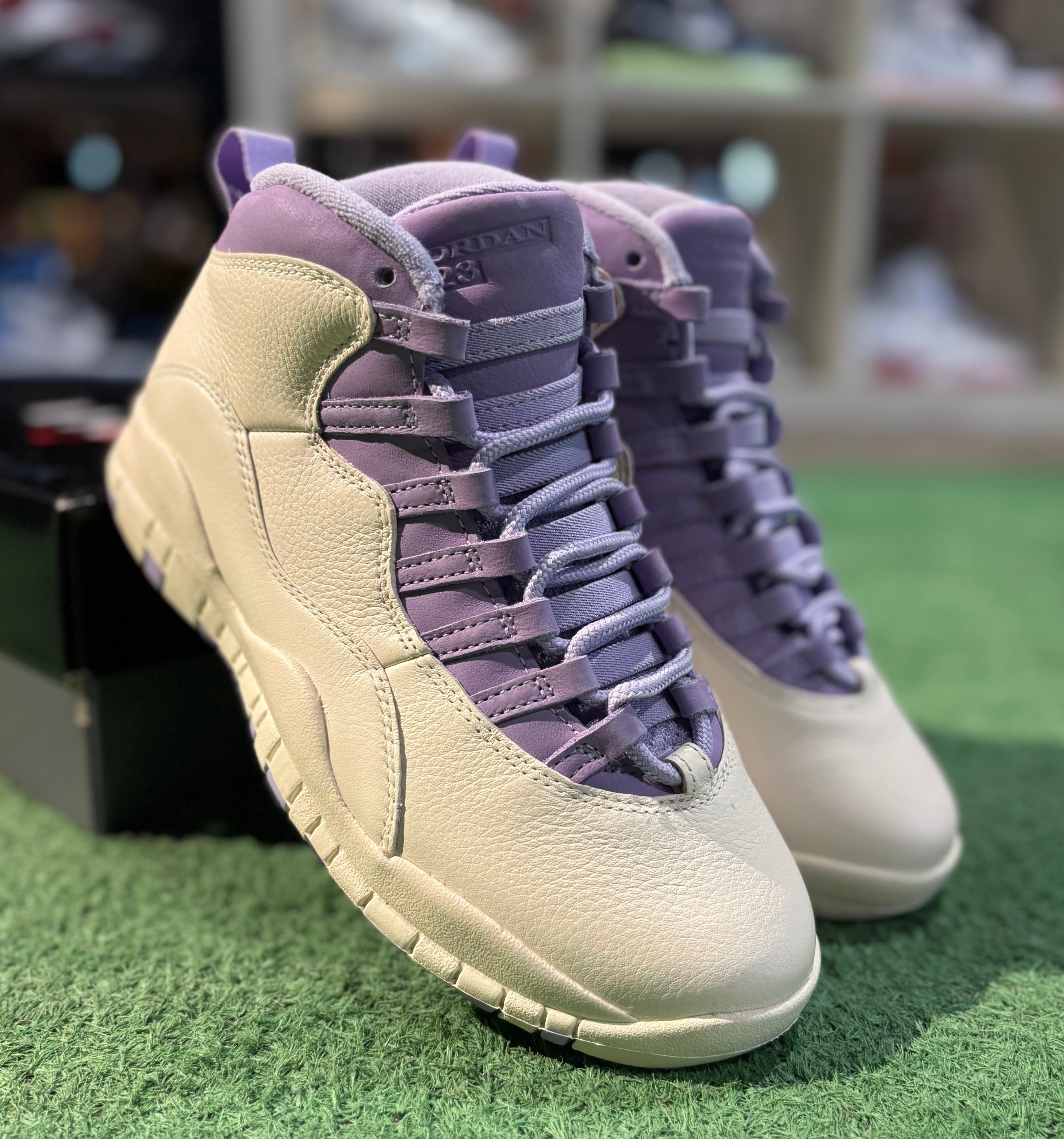 Jordan 10 Hydrangeas