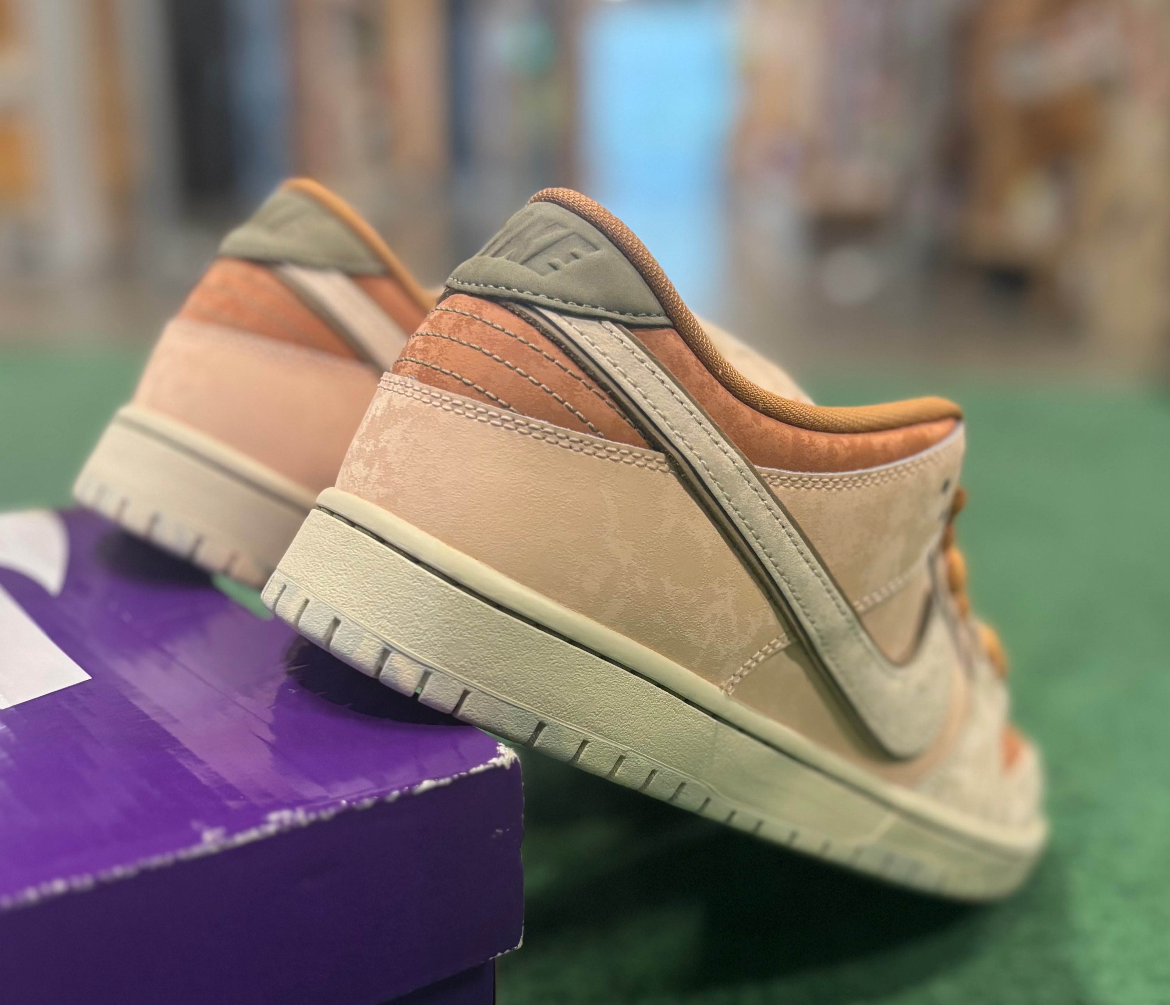 Nike Dunk SB Trocadero Gardens