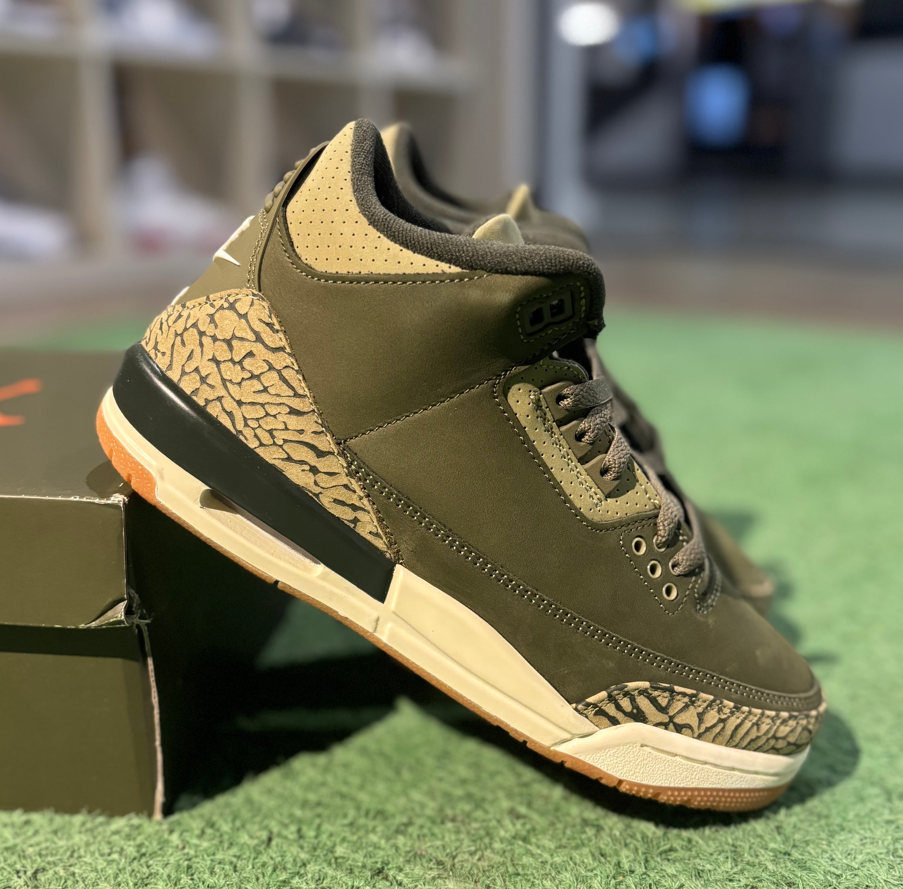 Jordan 3 Family Affair