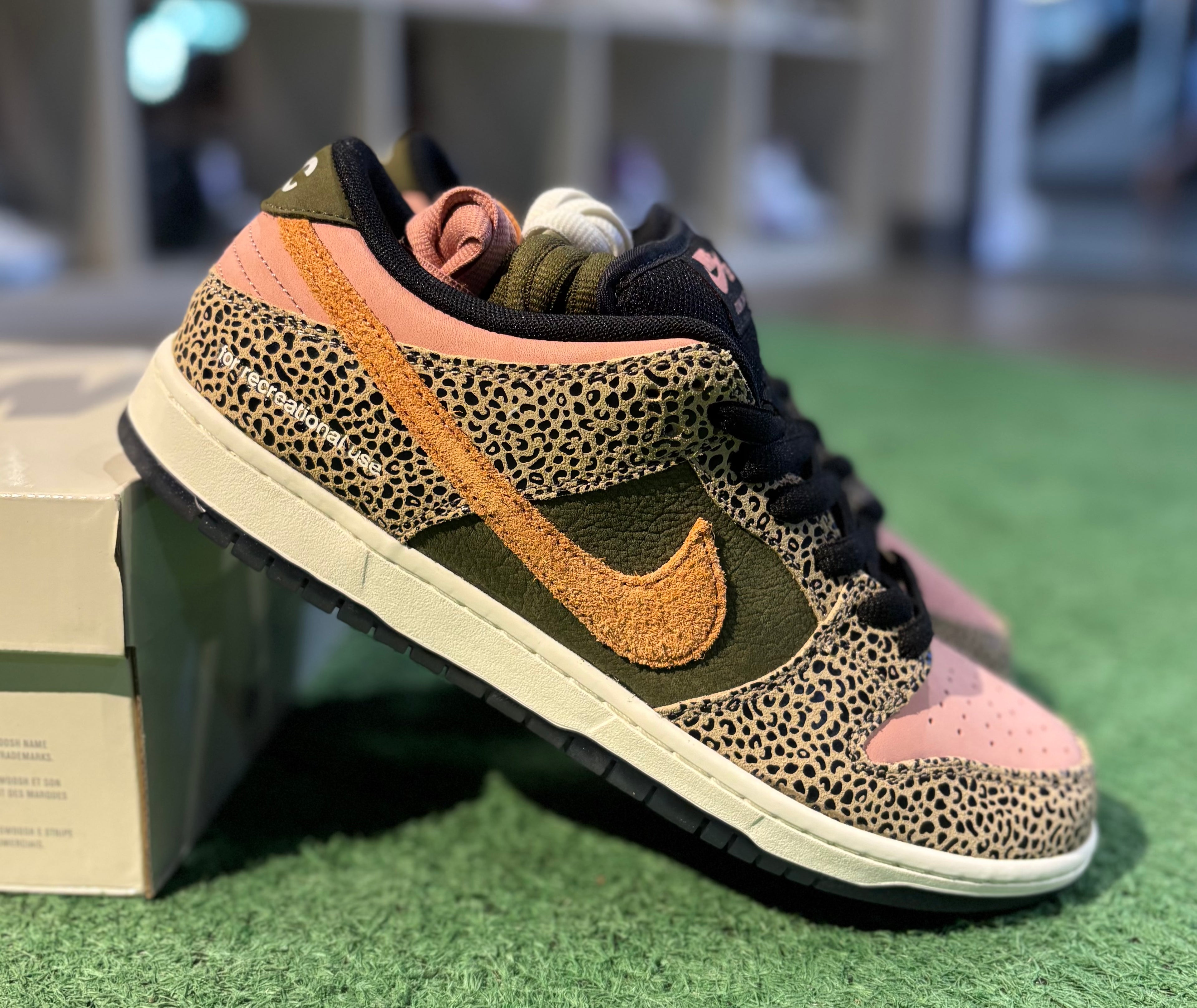 Nike Dunk SB Arts & Rec