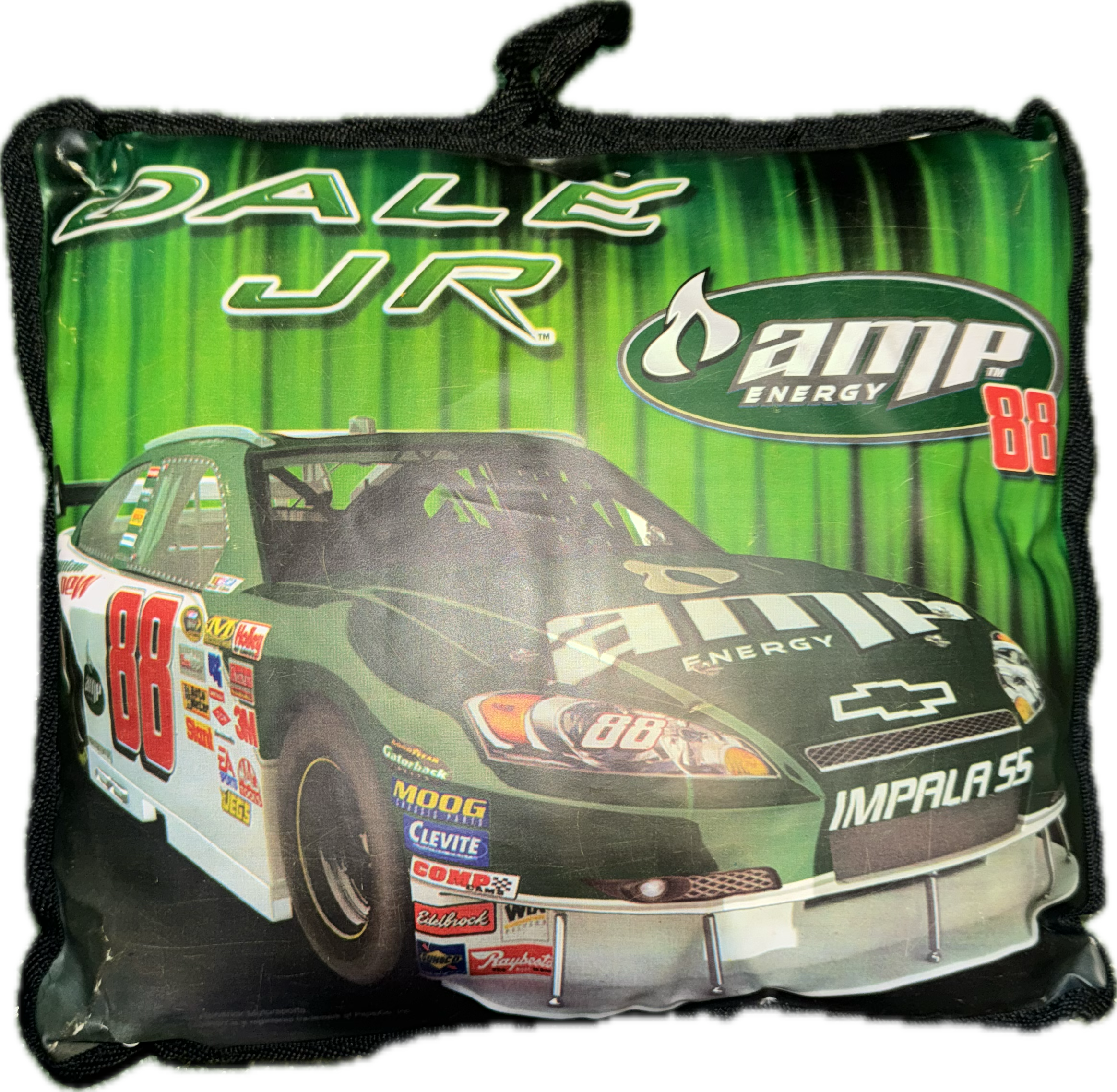 Dale Jr Throw pillow