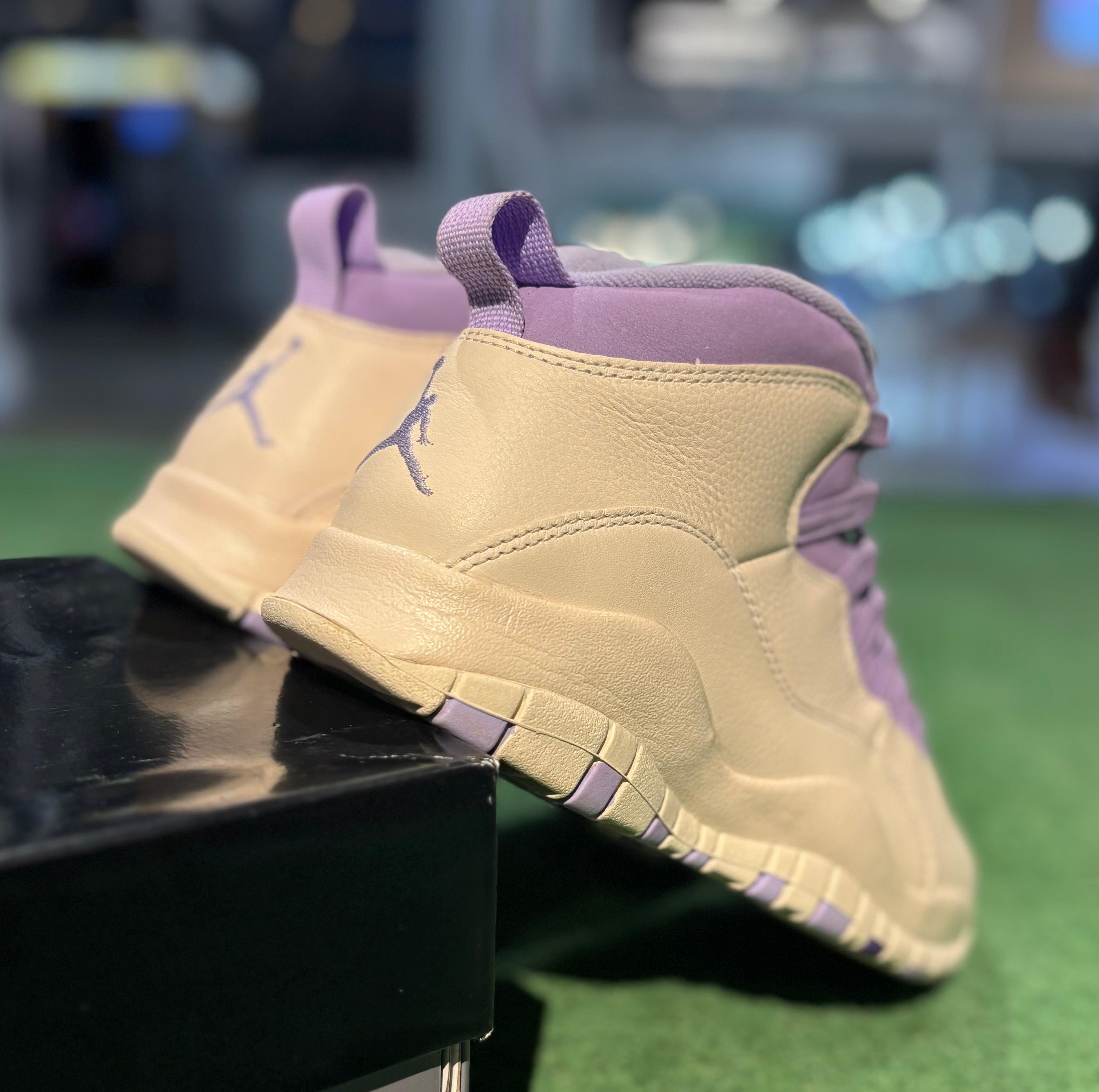 Jordan 10 Hydrangeas