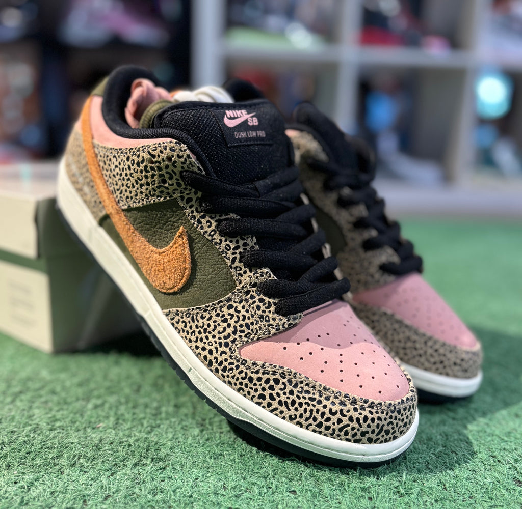 Nike Dunk SB Arts & Rec