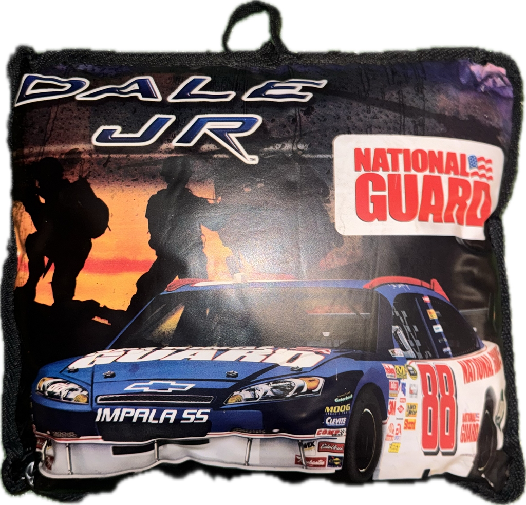 Dale Jr Throw pillow