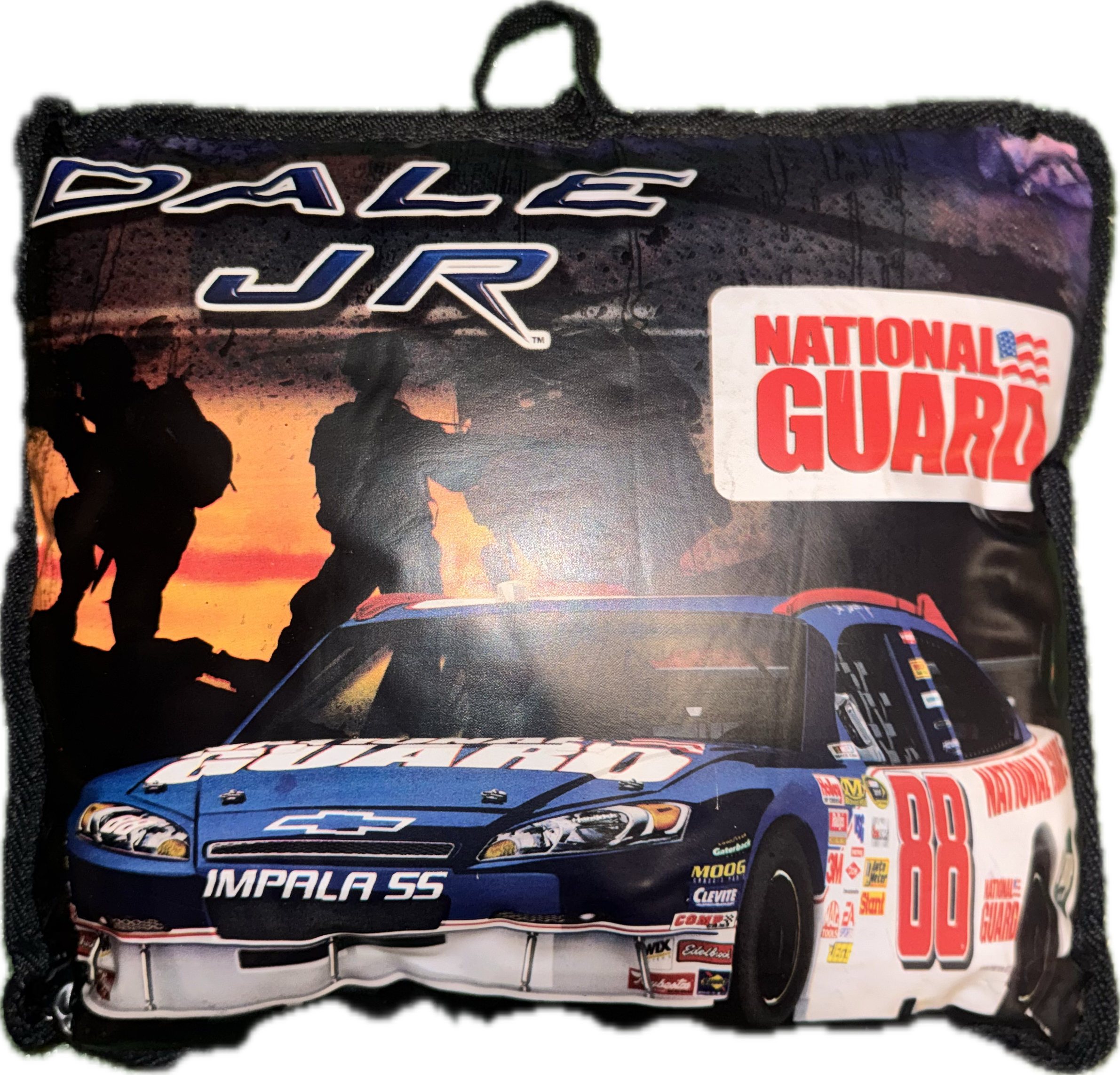 Dale Jr Throw pillow