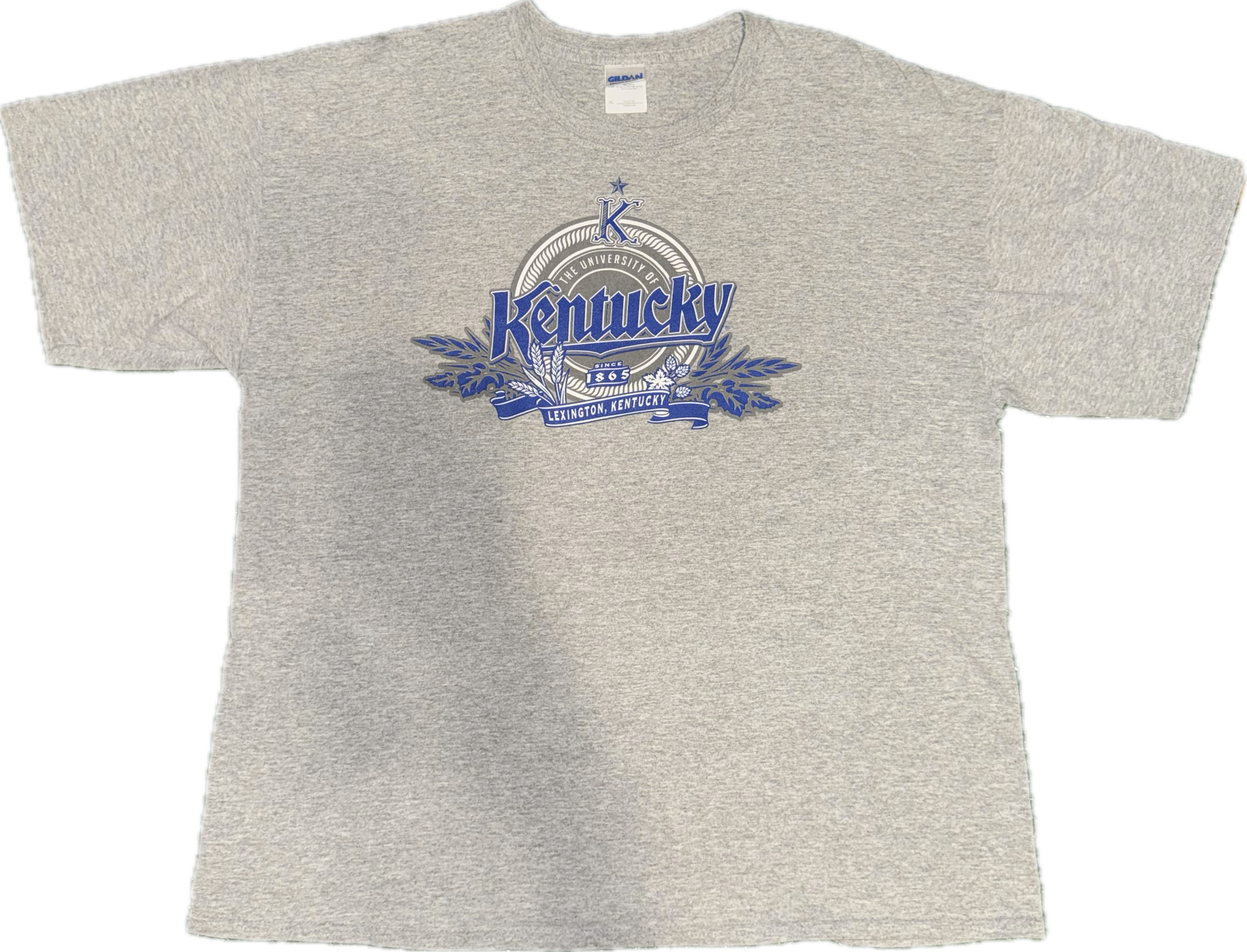 Grey UK Wildcats Tee
