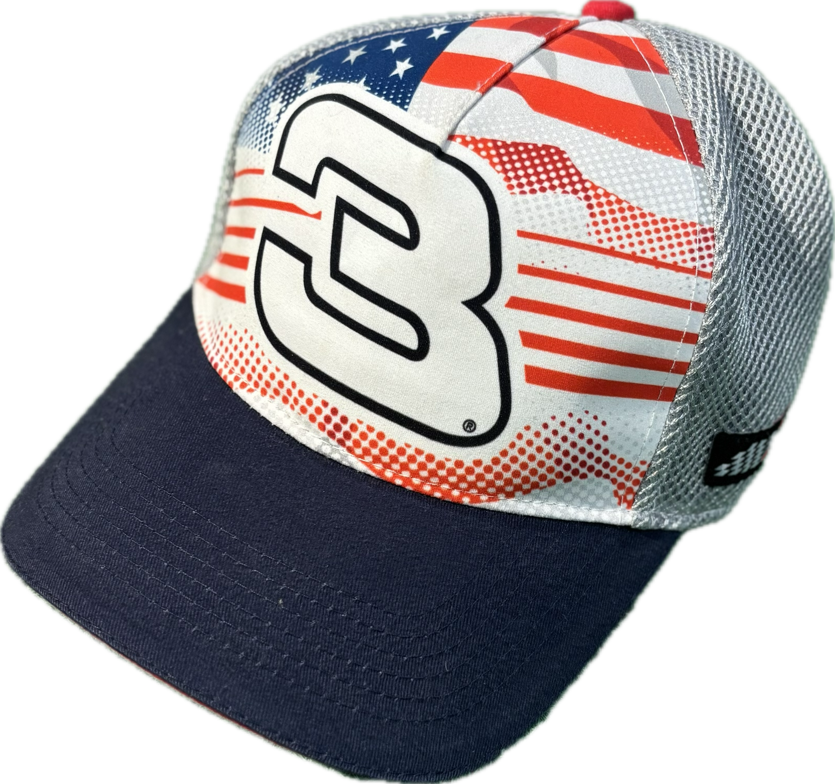 Dale Sr American Flag Velcro Cap
