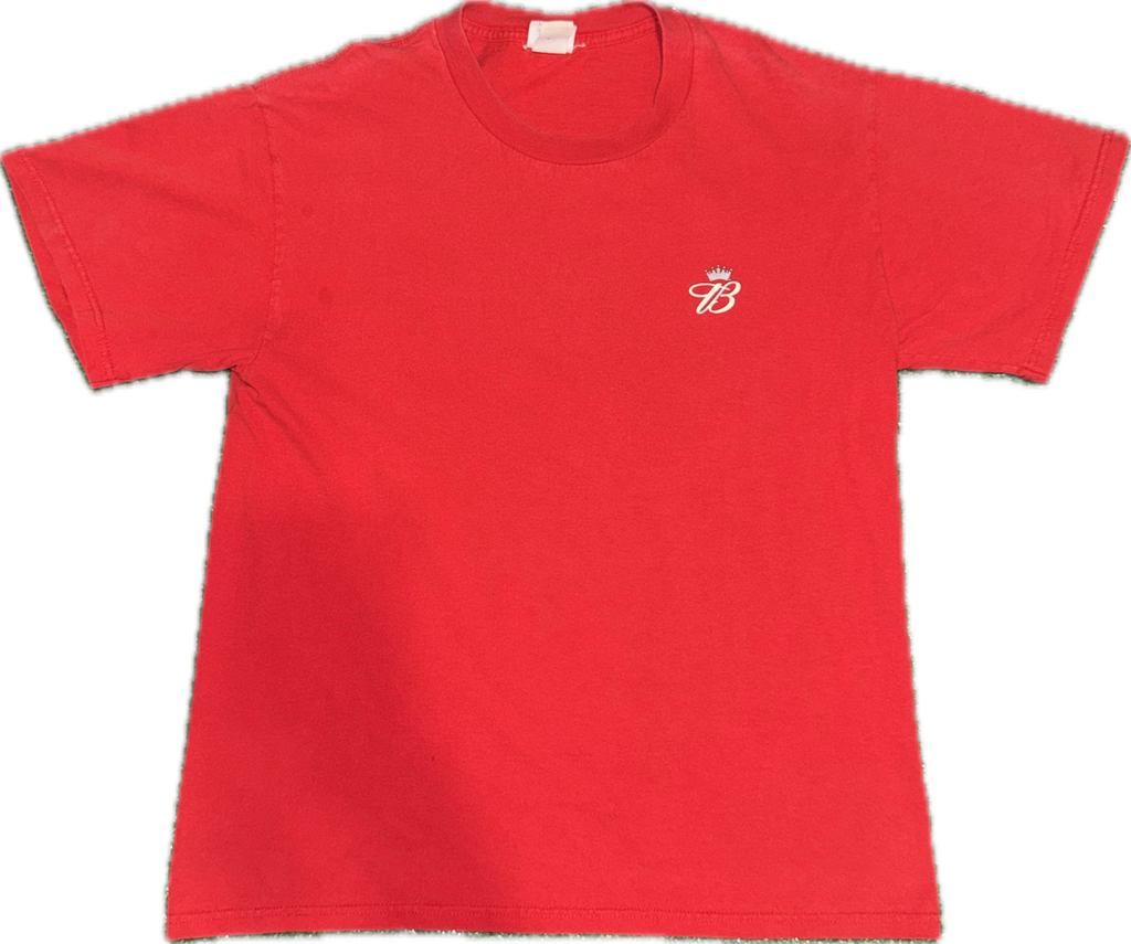 Dale Jr Budweiser Tee