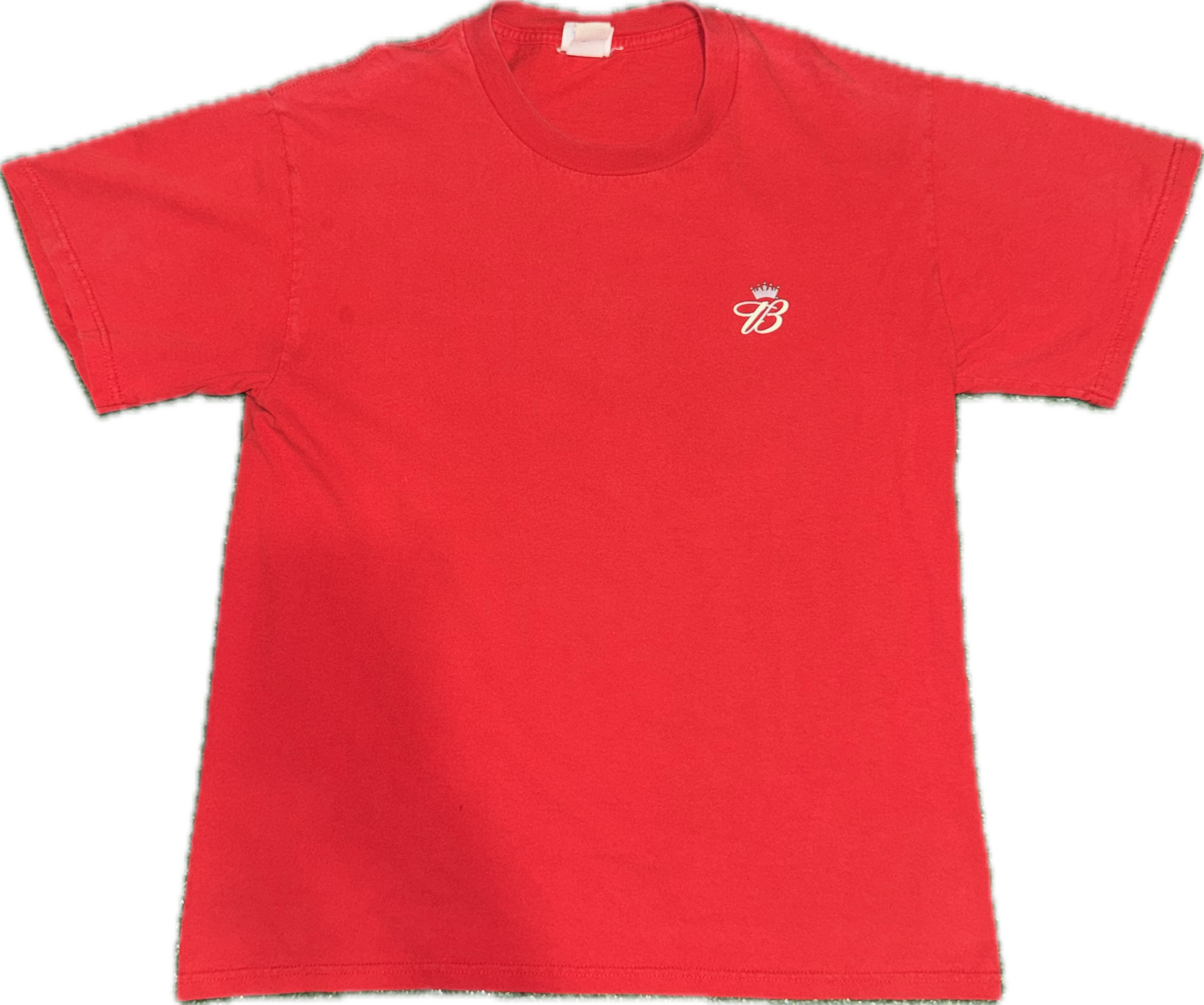 Dale Jr Budweiser Tee