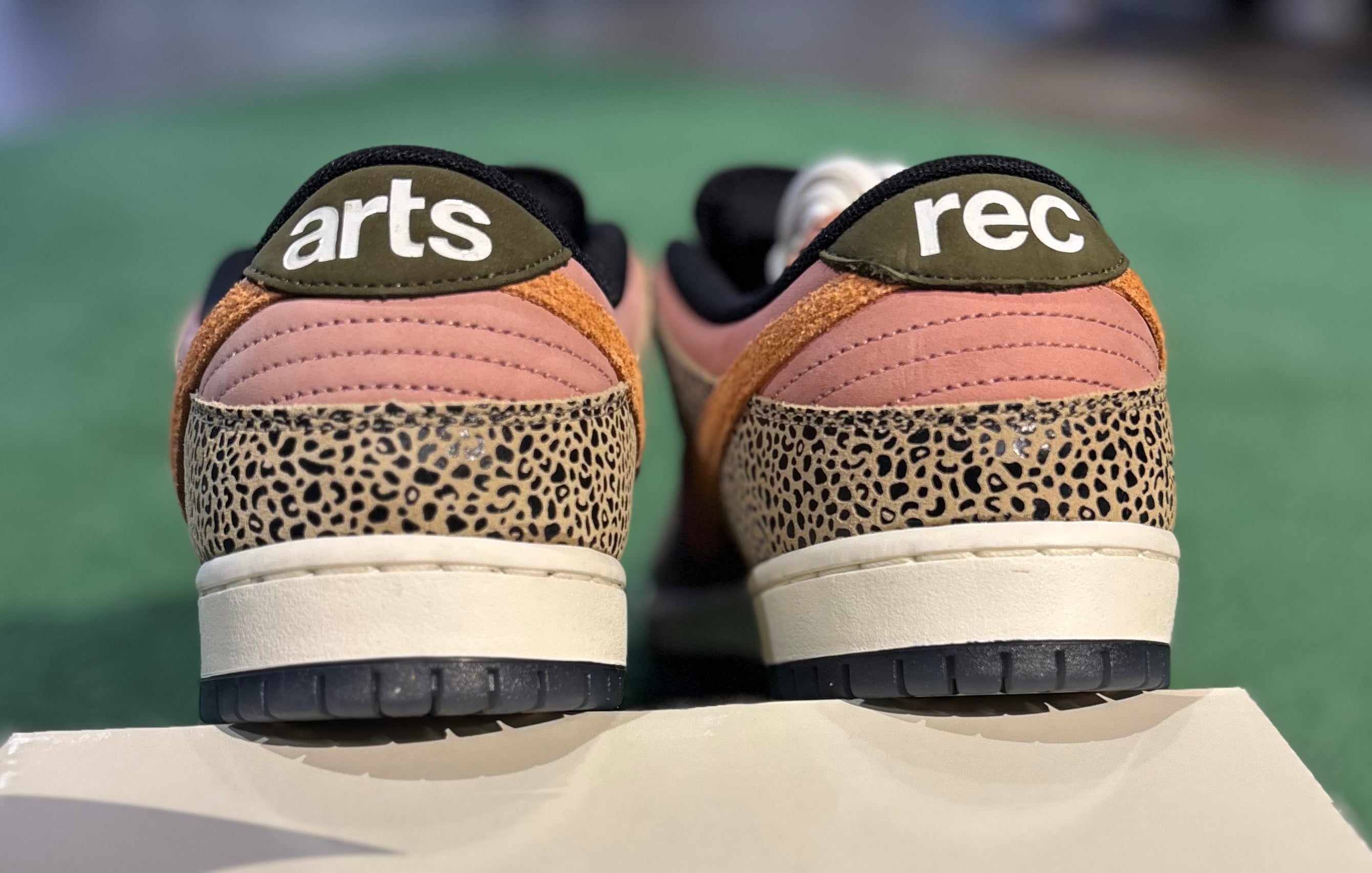 Nike Dunk SB Arts & Rec