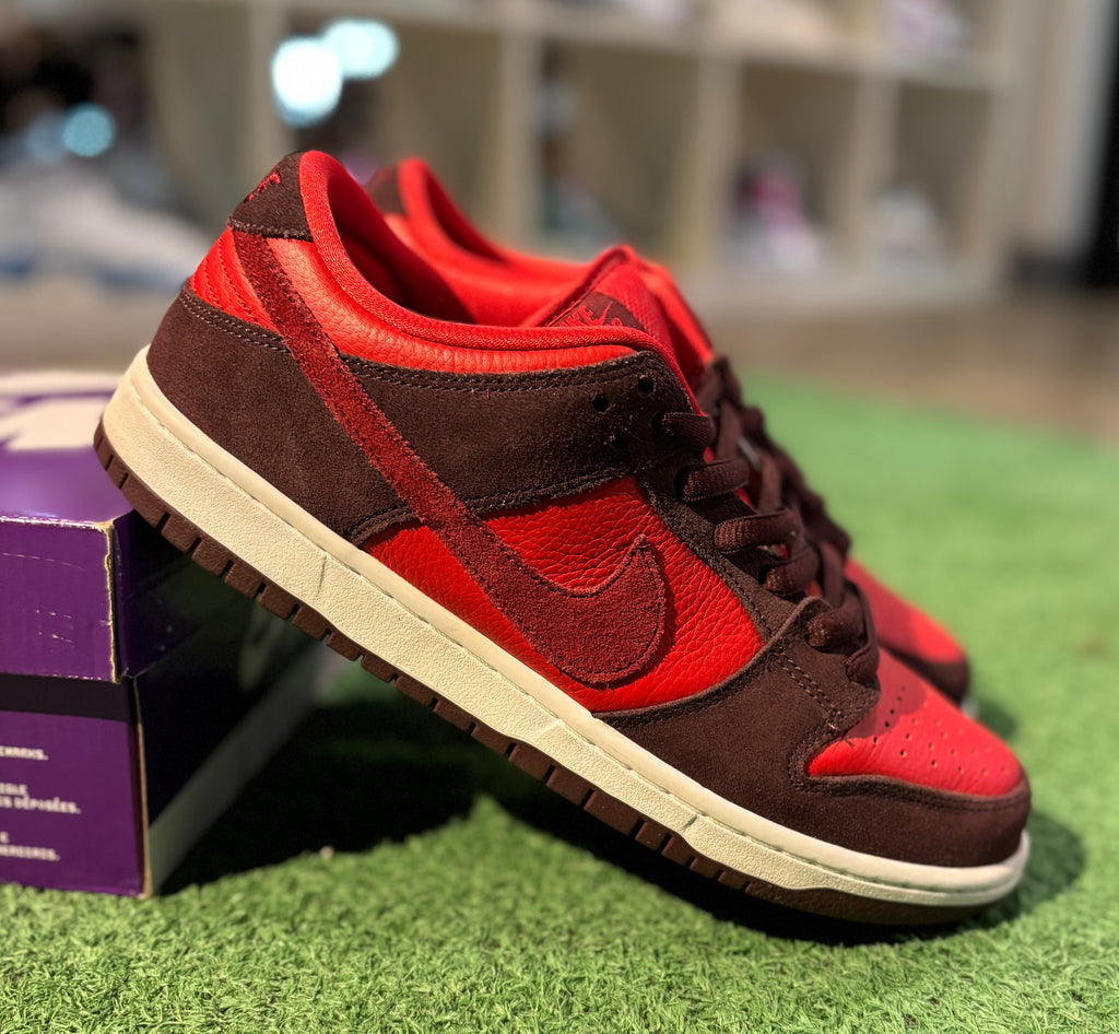 Nike Dunk SB Riot