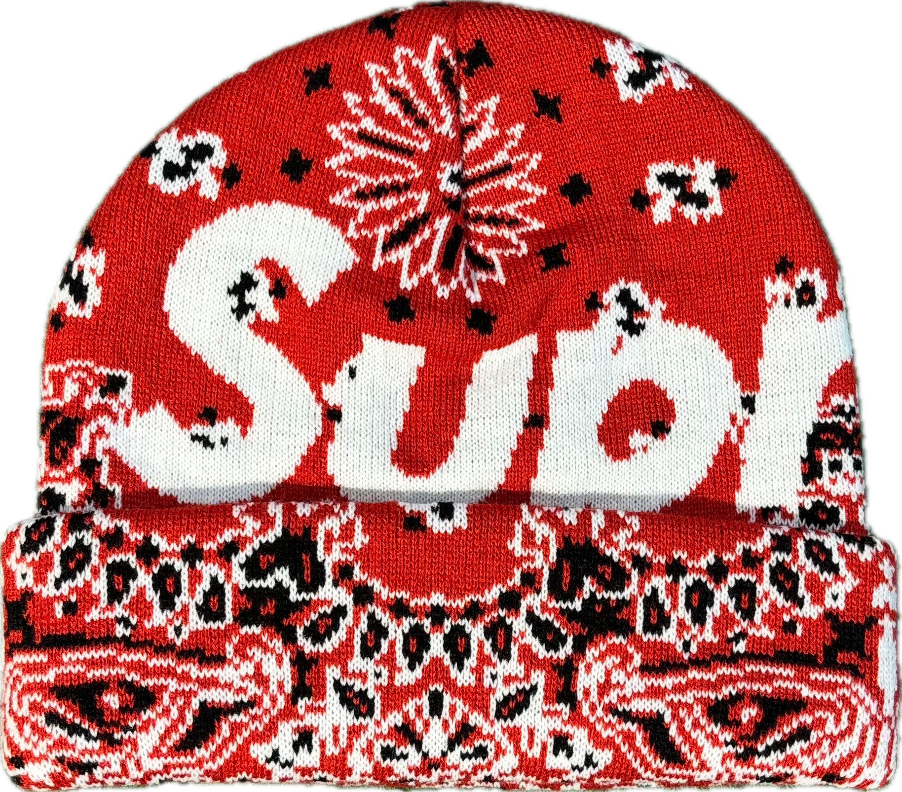 Supreme Red Paisley Beanie
